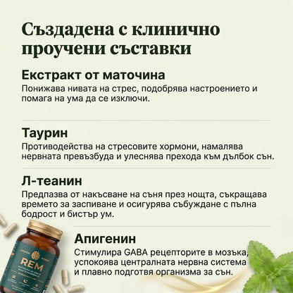 Спокоен, Възстановяващ Сън от Първата Нощ с „REM“