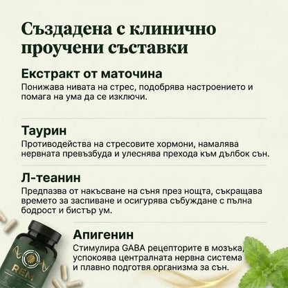 Спокоен, Възстановяващ Сън от Първата Нощ с „REM“